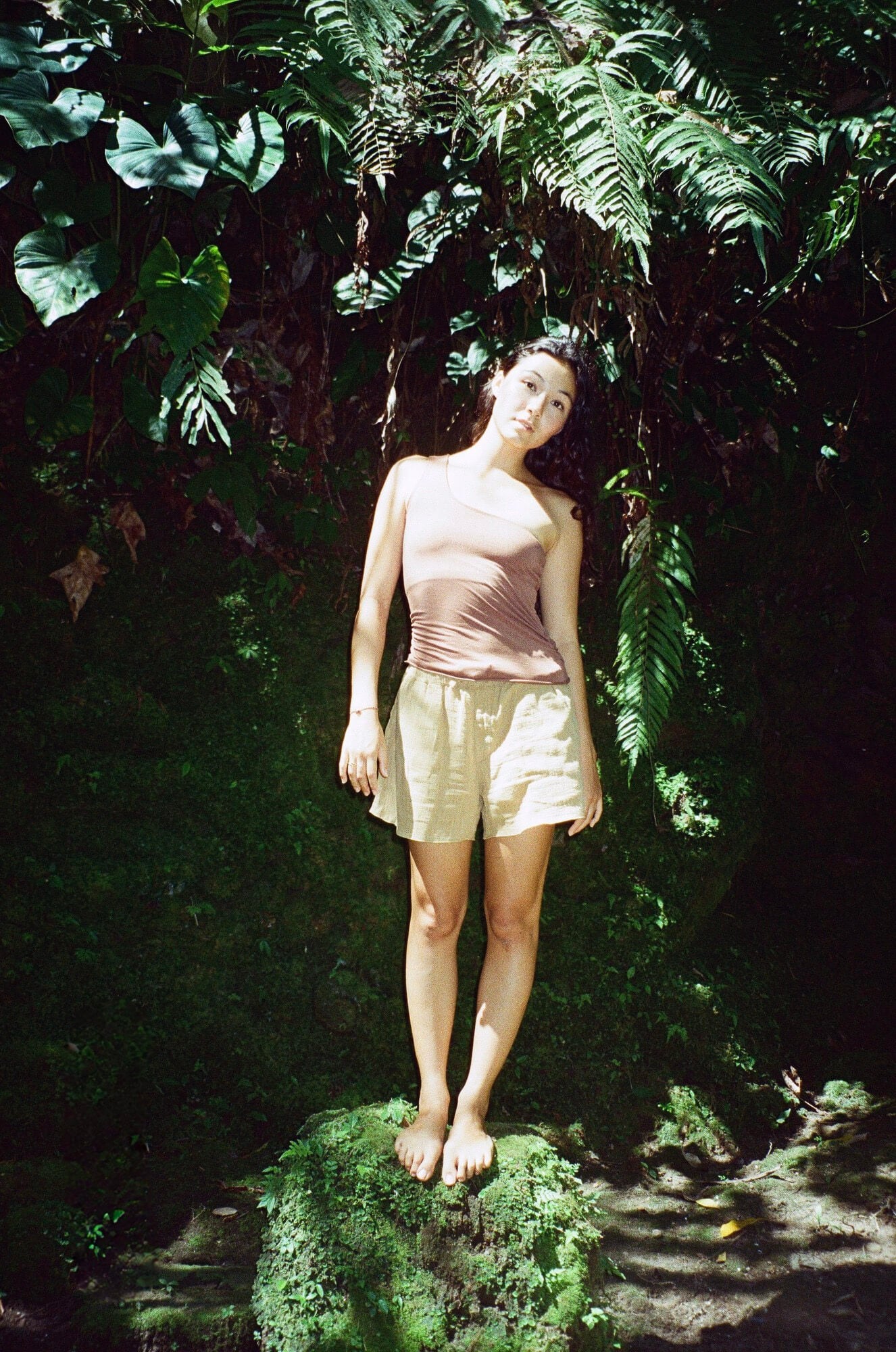 【POPUP開催記念】ORGANIC COTTON SHORT PANTS/MILK CHOCOLATE