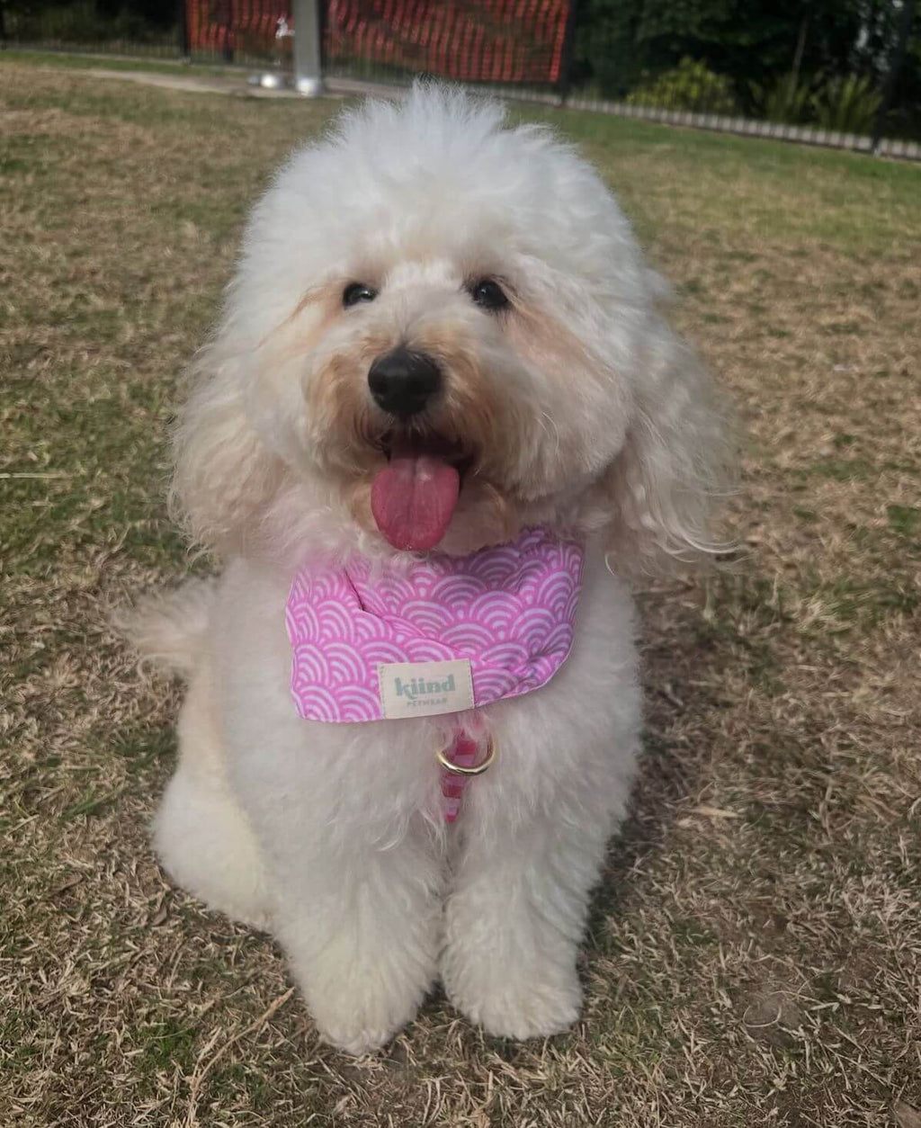 【Kiind petwear】BANDANA