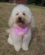 【Kiind petwear】BANDANA