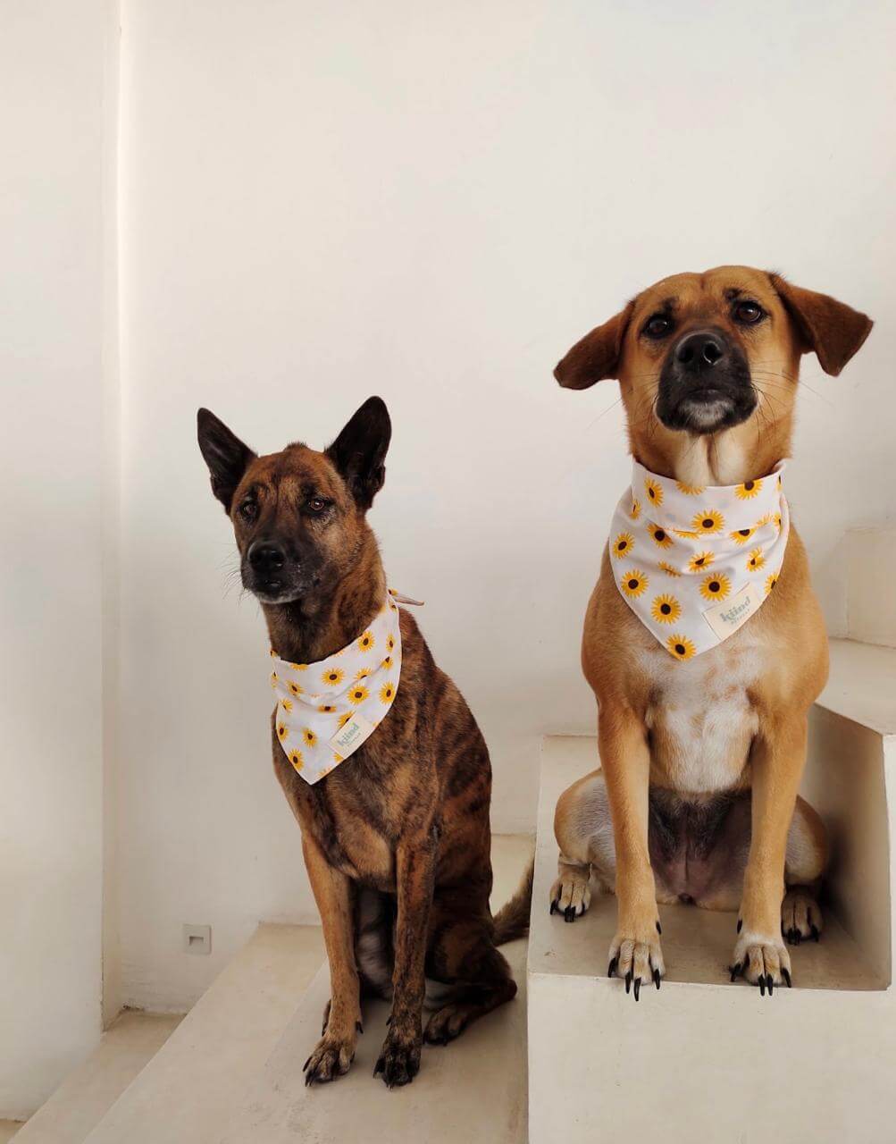 【Kiind petwear】BANDANA