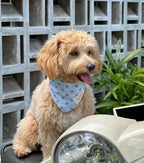 【Kiind petwear】BANDANA