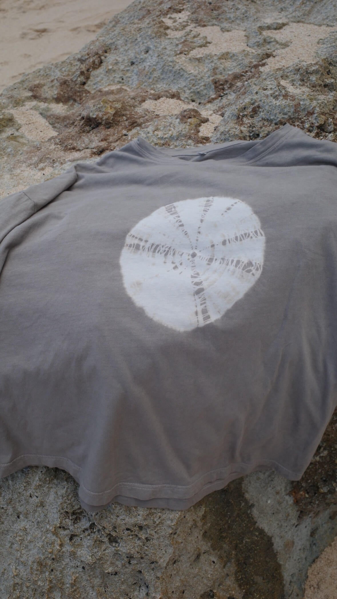 【6月末お届け】EARTH T-SHIRTS/GREIGE